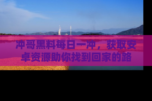 冲哥黑料每日一冲，获取安卓资源助你找到回家的路