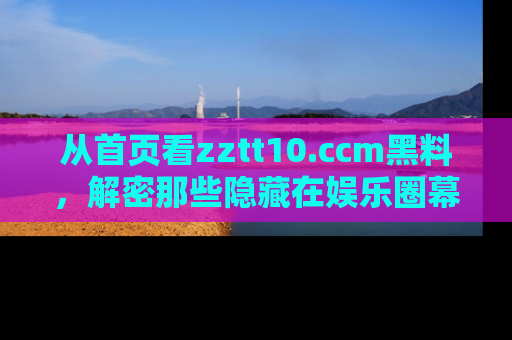 从首页看zztt10.ccm黑料，解密那些隐藏在娱乐圈幕后的丑闻故事！