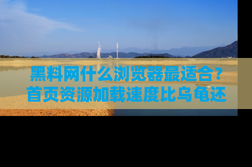 黑料网什么浏览器最适合？首页资源加载速度比乌龟还慢的体验真心吐槽！
