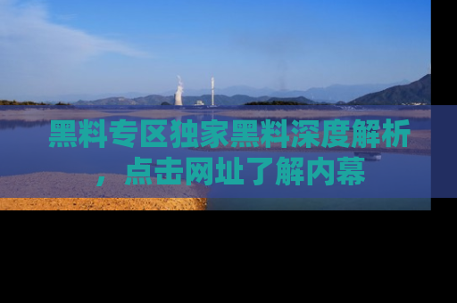 黑料专区独家黑料深度解析，点击网址了解内幕