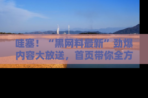 哇塞！“黑网料最新”劲爆内容大放送，首页带你全方位了解哦，小可爱们