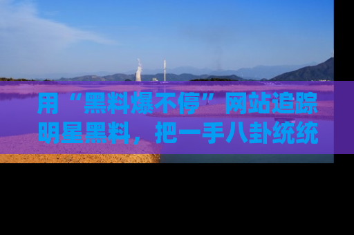 用“黑料爆不停”网站追踪明星黑料,把一手八卦统统收进你的后宫中!