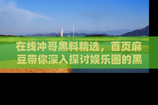 在线冲哥黑料精选，首页麻豆带你深入探讨娱乐圈的黑暗面
