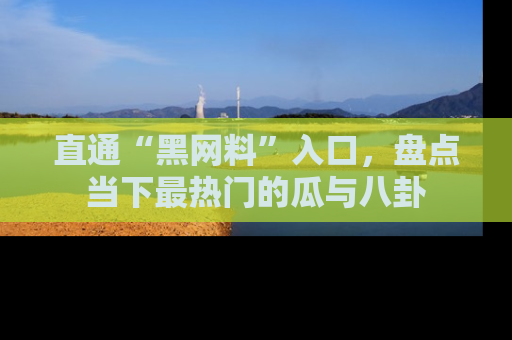 直通“黑网料”入口，盘点当下最热门的瓜与八卦